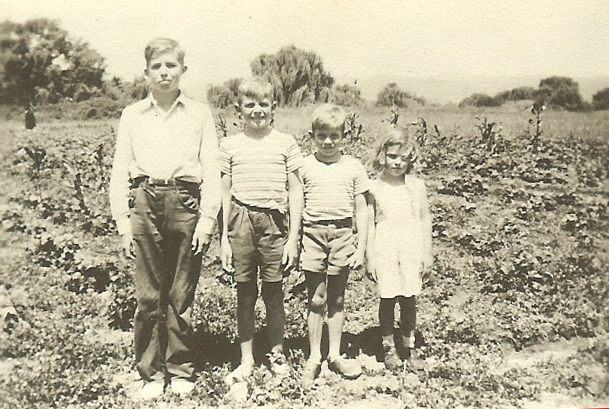 CJ II, Peter, Michael and Susan Kingston in a field on the Farm in the 1940s.