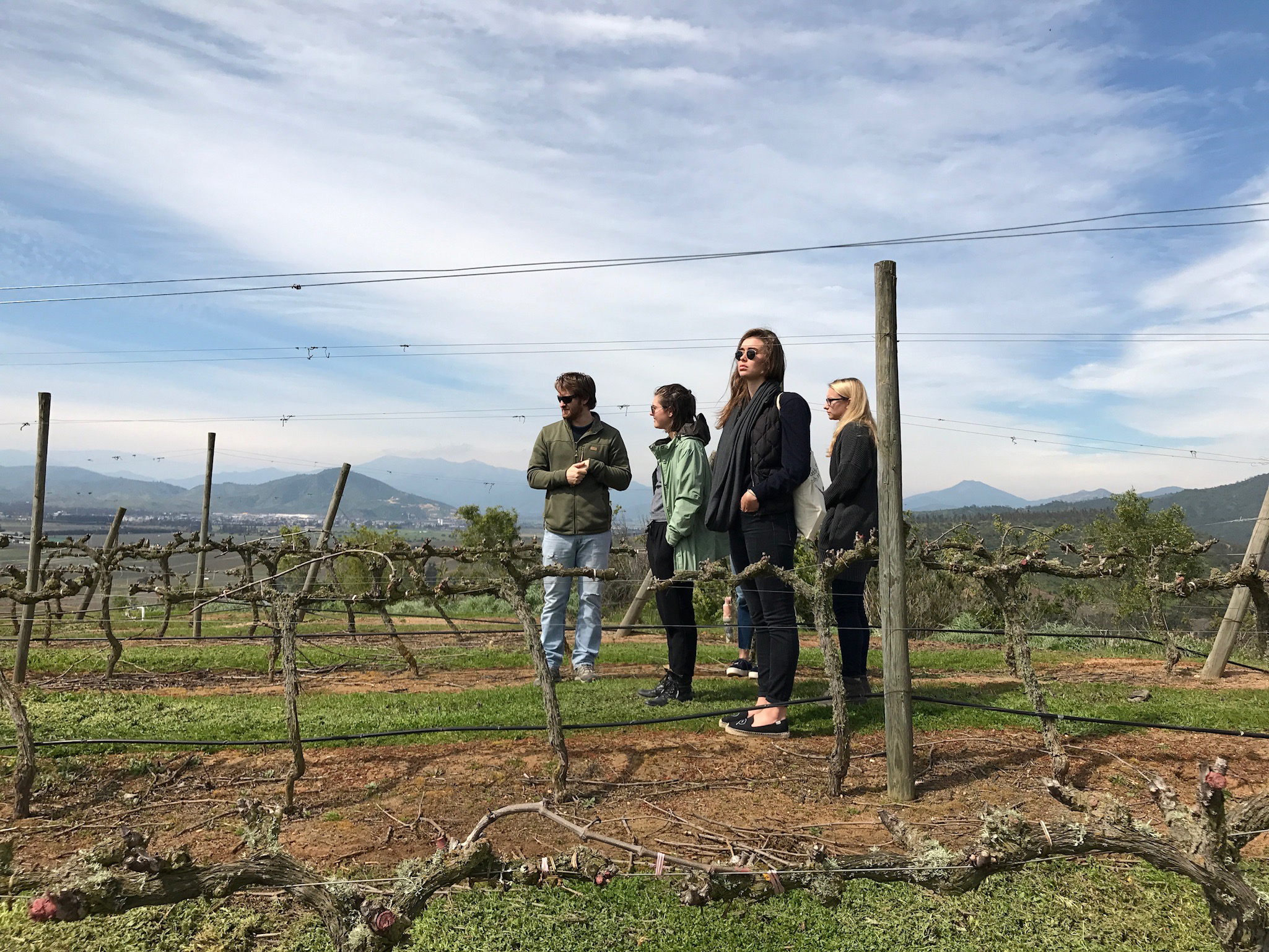 Winemaker Amael Orrego giving us tour of the vines on our first day in Chile, in early September.