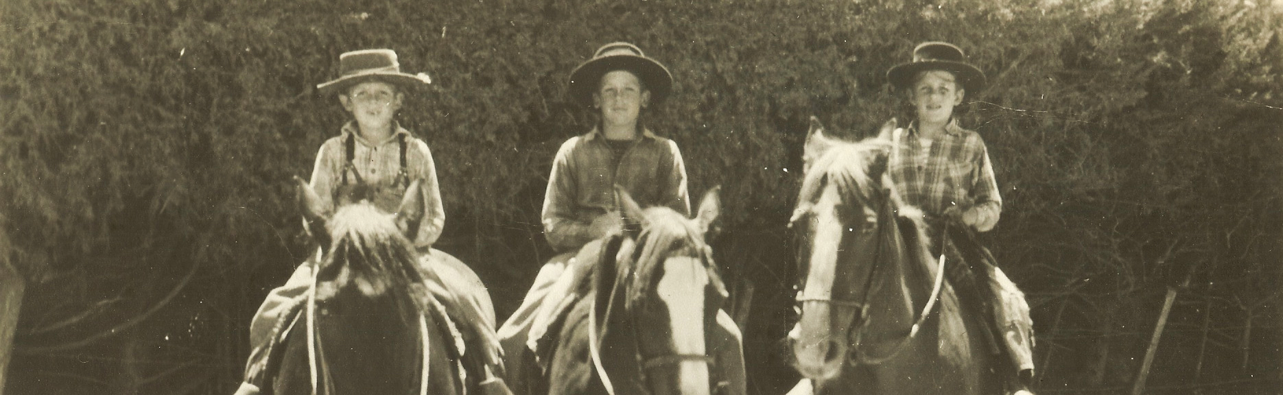 Michael, CJII and Peter go for a ride on the Farm.