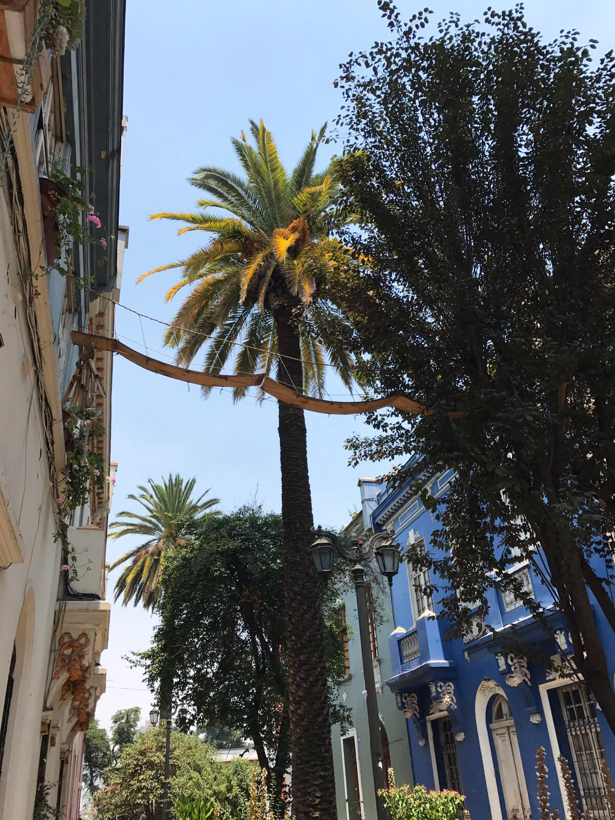 A literal catwalk extends between someone's home and a tree in Barrio Yungay.