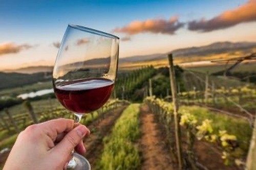 Virtual Wine Tasting Mix
