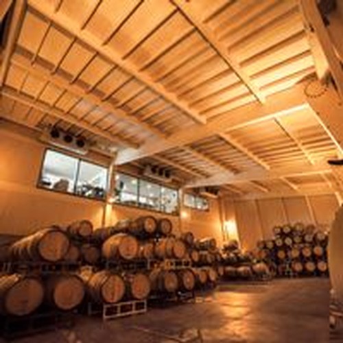 Cellar Start Up Kit